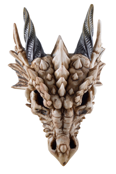 Dragon Skull