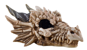 Dragon Skull